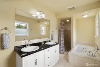 ~Primary Bathroom on Main Level~