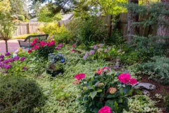 Beautiful garden