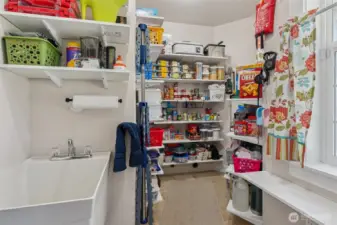 Pantry with utility sink