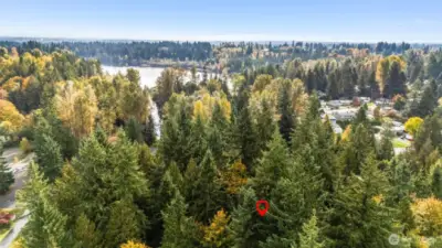 Private Access to Lake Fishing, Kayaking, Usage of the Boat Launch, Beach & Playground!