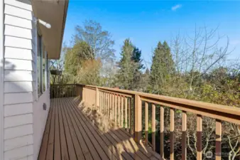 Large Deck Off of the Back of the House