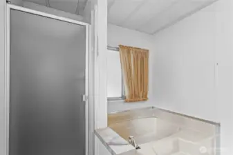 Primary ensuite_shower + bathtub