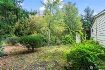 Back yard view