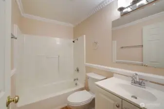 Lower level full bath.
