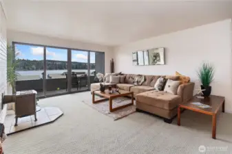 The sofa unit can sleep small children and goes with the sale of the condo