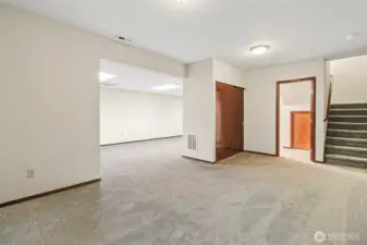 Lower Level Large Bonus Room