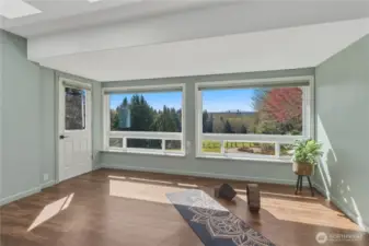 On the back side of the house is a flex room.