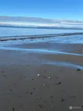 Beach facing north