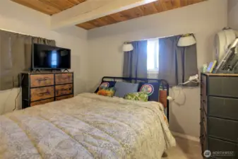 Downstairs Bedroom