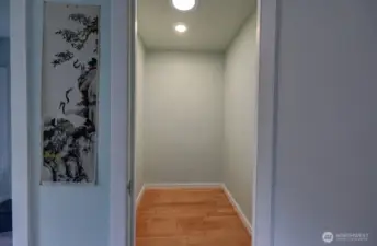 primary bedroom walk in closet