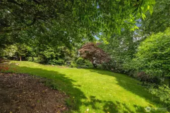 There are level lawn areas too. Picnic anyone?