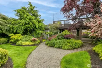 Gorgeous backyard.