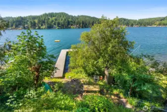 Bird’s-eye view of dock and deep water frontage with mature trees.