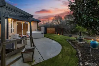 Backyard