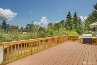 Massive brand new deck off the back of the home. Awaiting your summer BBQ's and large enough to entertain large groups. Great view of sunsets off the deck as well.