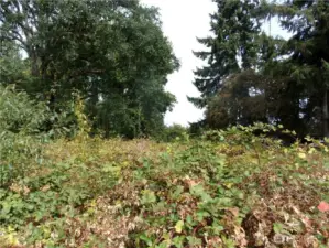Another view of the property looking north from 146th Street.