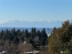 On a clear day, the mountain views are spectacular. (Photo provided by seller).