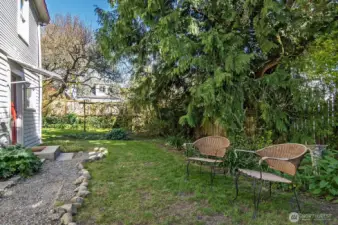 Huge 6100 sq ft lot with plenty of space for recreation and possible DADU expansion.