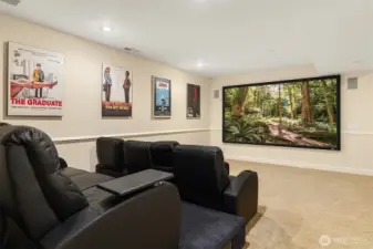 Lower level media room.