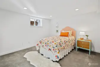 Large lower level bedroom. This room is spacious and could accommodate a king-sized bed.