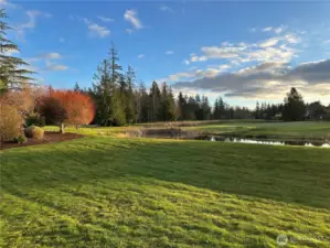 Beautiful view of the Plateau Golf Course's 15th green and water feature