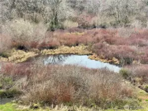 Conners Creek