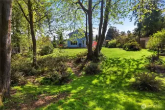 Park-like backyard.