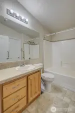 Full Hallway Bathroom
