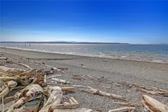Beach Rights Close-By~