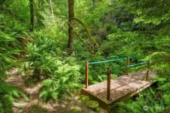 Wooden bridge above the seasonal stream with walking trails.