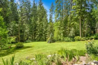 Beautiful yard.