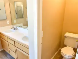 Toilet privacy.