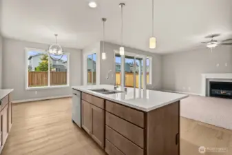 Plenty of overhead lighting in kitchen and large island for prep cooking and entertaining.