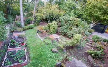Raised Garden Beds and Multiple Fruit Trees and Berry Shrubs