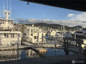 Breathtaking view of Skyline Marina and the many boats right off your back door!