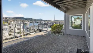 View from Back Patio