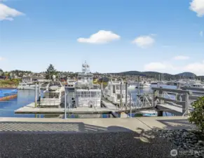 Another View from the Patio