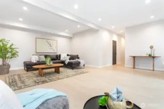 Lower level family room.