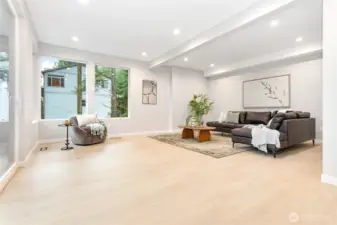 Lower level family room.