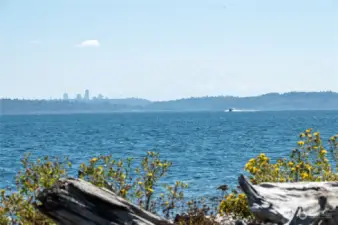 SEATTLE SKYLINE + MT RAINIER VIEWS!