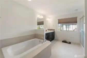 Primary bathroom