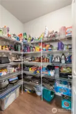 Huge walk-in pantry