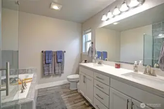 -& a primary bath w/ walk in shower, dual vanity Quartz countertops...