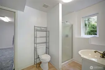 Lower Level 3/4 Bathroom