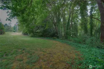 Your house could fit nicely where these trees are
