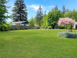 view from driveway out to left of house.