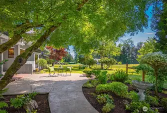 Expansive concrete patio!