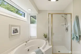 Peaceful primary bath tub and shower.