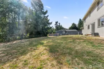Backyard