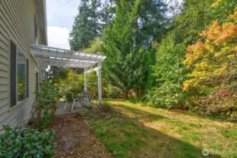 Decent sized backyard